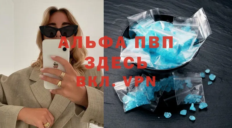 A-PVP СК КРИС  Грязовец 